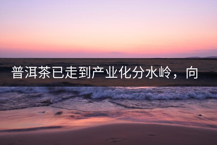 普洱茶已走到產(chǎn)業(yè)化分水嶺，向左還是向右？