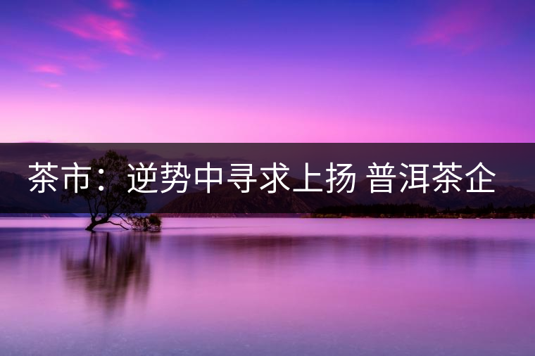 茶市：逆勢(shì)中尋求上揚(yáng) 普洱茶企靠什么打贏這場(chǎng)翻身仗？