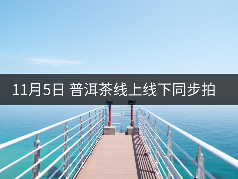 11月5日 普洱茶線上線下同步拍賣(mài) 11月5日 普洱茶線上線下同步拍賣(mài)