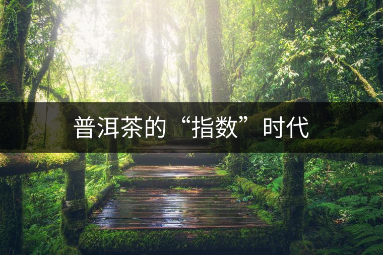 普洱茶的“指數(shù)”時(shí)代 普洱茶的“指數(shù)”時(shí)代