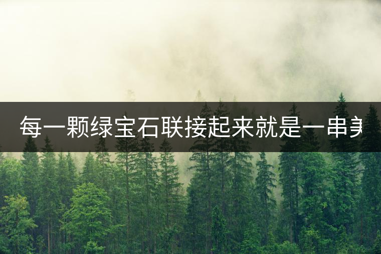 每一顆綠寶石聯(lián)接起來(lái)就是一串美麗的項(xiàng)鏈 ——關(guān)于小產(chǎn)區(qū)茶的遐想