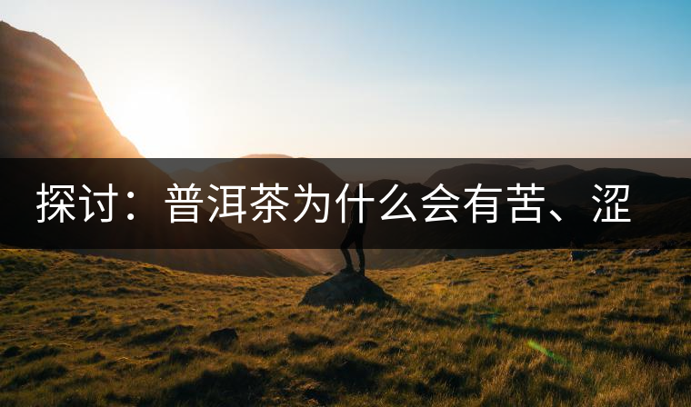 探討：普洱茶為什么會有苦、澀味兒？