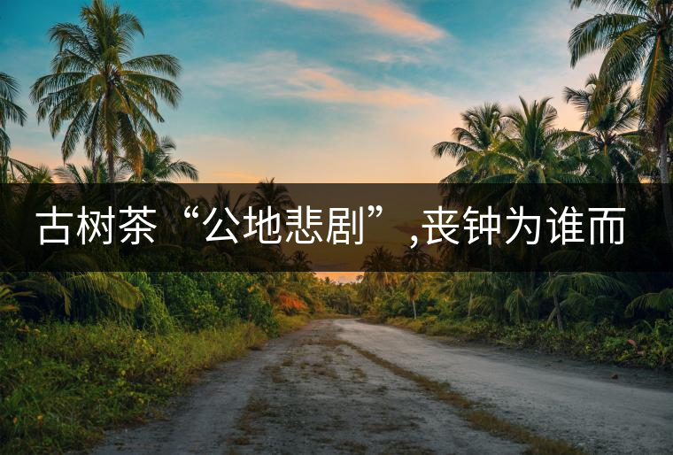 古樹(shù)茶“公地悲劇”,喪鐘為誰(shuí)而鳴！