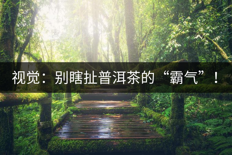 視覺：別瞎扯普洱茶的“霸氣”！偽大師！