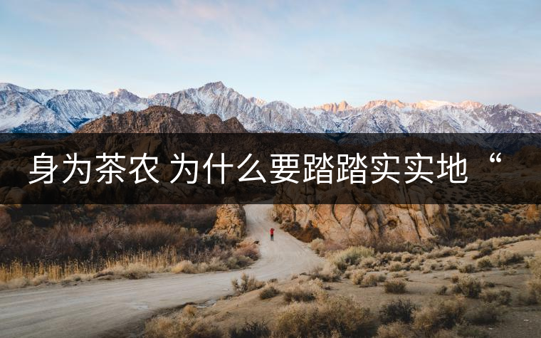 身為茶農(nóng) 為什么要踏踏實實地“放毒”！