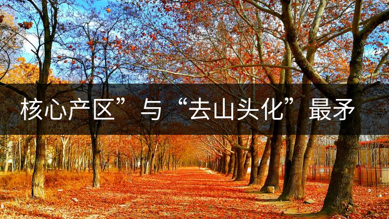 核心產(chǎn)區(qū)”與“去山頭化”最矛盾的市場抉擇