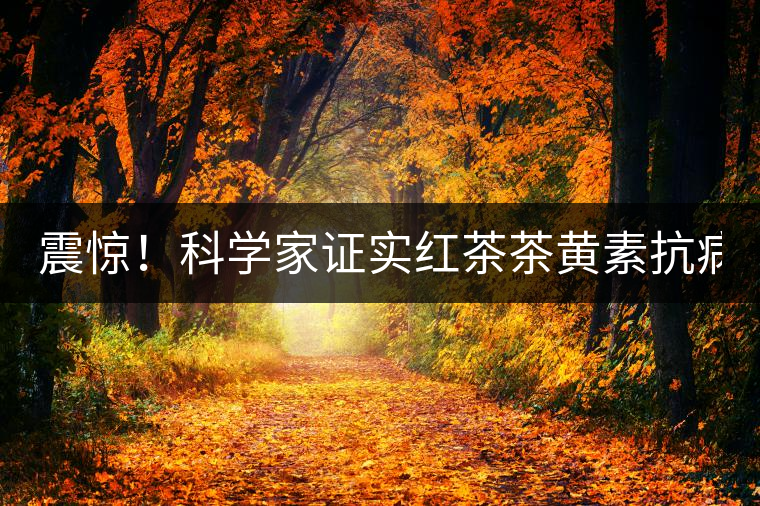 震驚！科學(xué)家證實紅茶茶黃素抗病毒新功能！