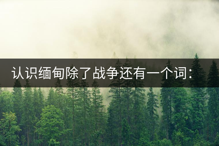 認(rèn)識緬甸除了戰(zhàn)爭還有一個詞：茶