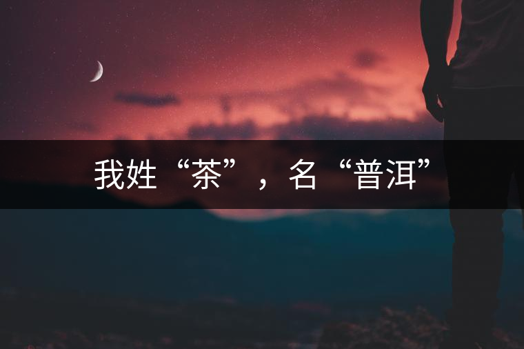 我姓“茶”，名“普洱”