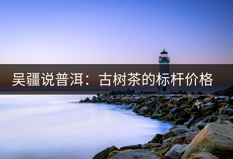 吳疆說普洱：古樹茶的標(biāo)桿價(jià)格在哪里？