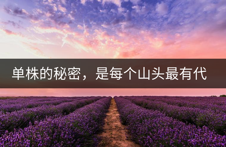 單株的秘密，是每個山頭最有代表性的味道？