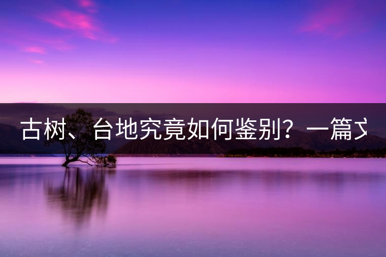 古樹、臺(tái)地究竟如何鑒別？一篇文章說透！