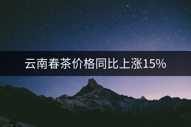 云南春茶價格同比上漲15%