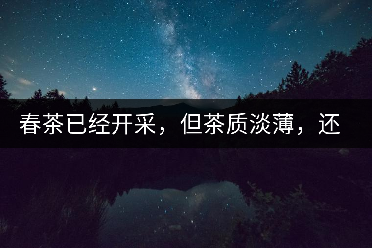 春茶已經(jīng)開采，但茶質(zhì)淡薄，還需一兩周