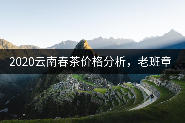 2020云南春茶價格分析，老班章依然將獨占鰲頭？
