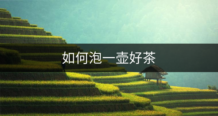 如何泡一壺好茶 如何泡一壺好茶