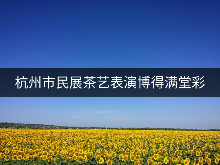 杭州市民展茶藝表演博得滿(mǎn)堂彩