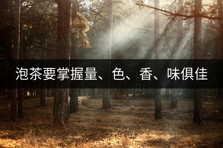 泡茶要掌握量、色、香、味俱佳