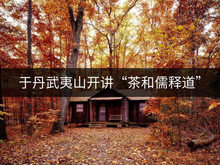 于丹武夷山開講“茶和儒釋道” 于丹武夷山開講“茶和儒釋道”
