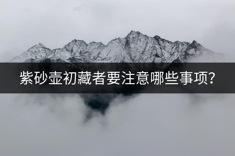 紫砂壺初藏者要注意哪些事項(xiàng)？