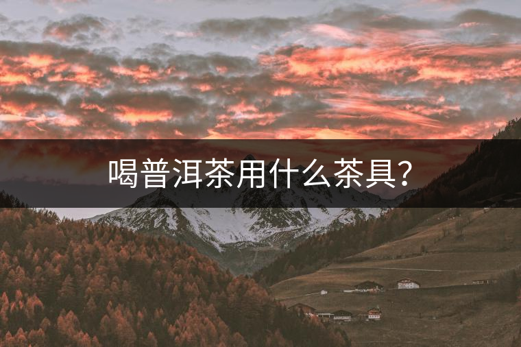 喝普洱茶用什么茶具？