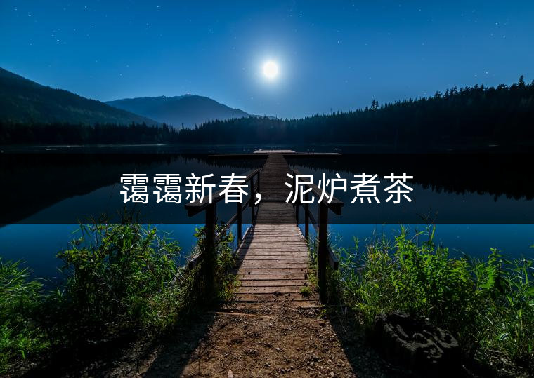 靄靄新春，泥爐煮茶