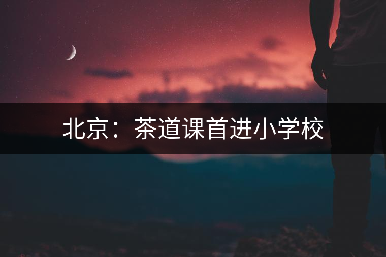 北京：茶道課首進小學校
