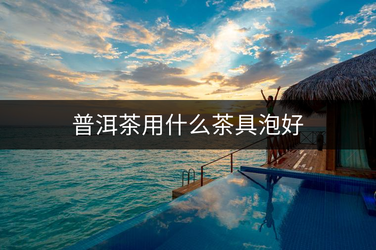 普洱茶用什么茶具泡好