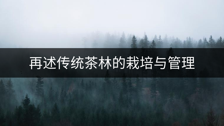 再述傳統茶林的栽培與管理