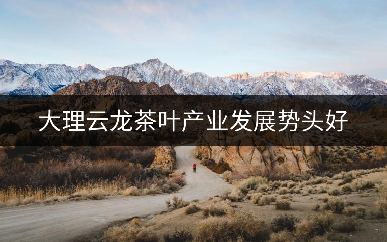 大理云龍茶葉產(chǎn)業(yè)發(fā)展勢(shì)頭好
