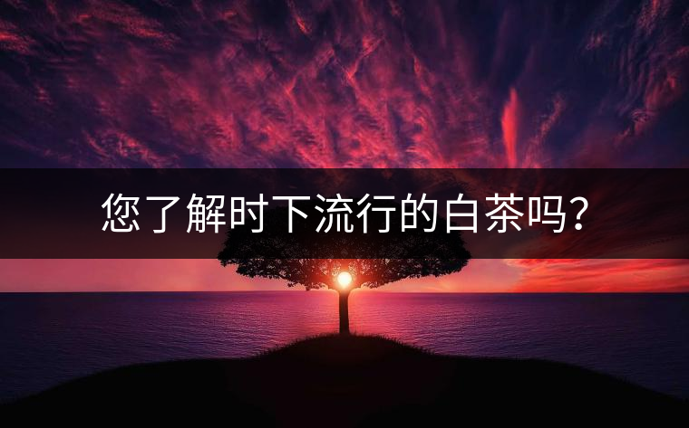您了解時(shí)下流行的白茶嗎？