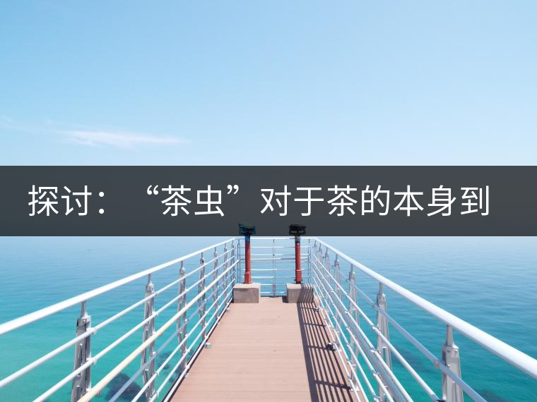 探討：“茶蟲”對(duì)于茶的本身到底是好是壞？