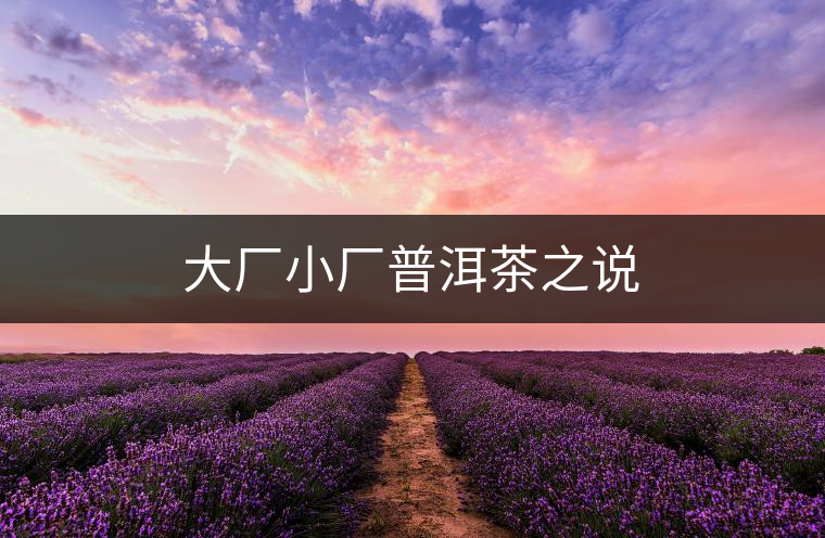大廠小廠普洱茶之說 大廠小廠普洱茶之說