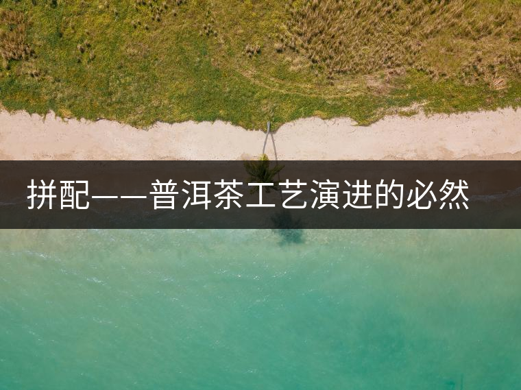 拼配——普洱茶工藝演進(jìn)的必然方向 拼配——普洱茶工藝演進(jìn)的必然方向