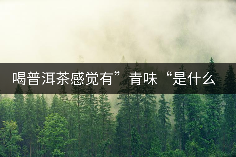 喝普洱茶感覺有”青味“是什么原因？