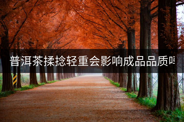 普洱茶揉捻輕重會影響成品品質(zhì)嗎？