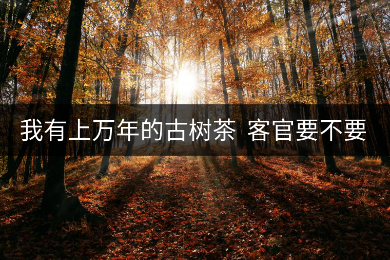 我有上萬年的古樹茶  客官要不要嘗嘗？