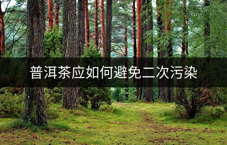 普洱茶應(yīng)如何避免二次污染