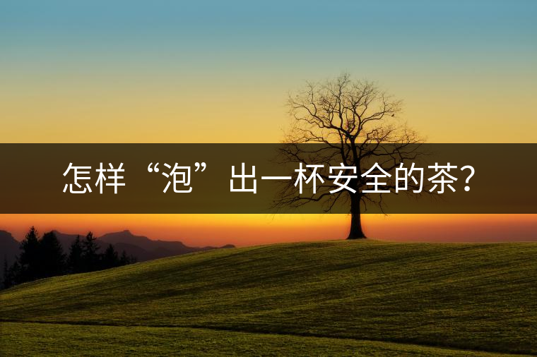 怎樣“泡”出一杯安全的茶？