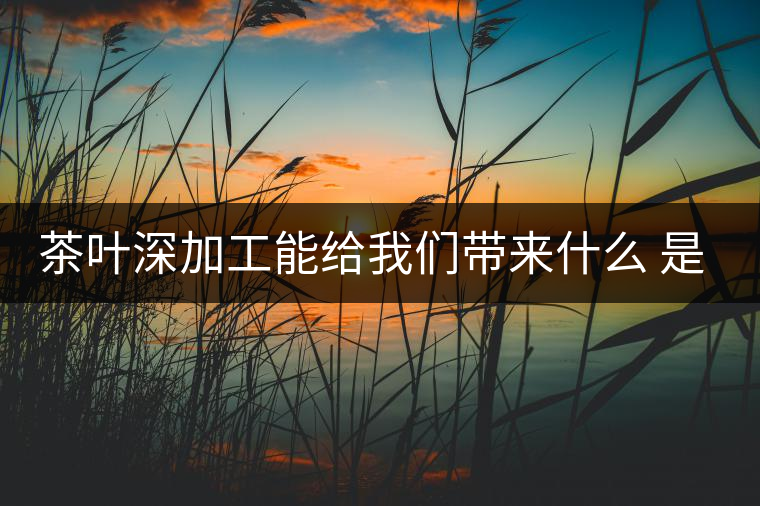 茶葉深加工能給我們帶來什么 是利還是弊呢？