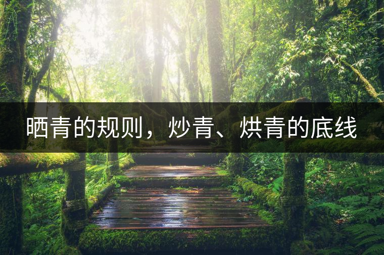 曬青的規(guī)則，炒青、烘青的底線