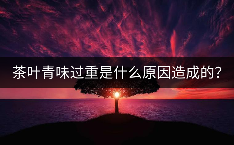 茶葉青味過(guò)重是什么原因造成的？