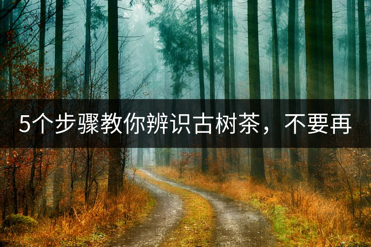 5個(gè)步驟教你辨識(shí)古樹茶，不要再被騙了！