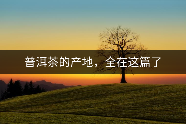 普洱茶的產(chǎn)地，全在這篇了