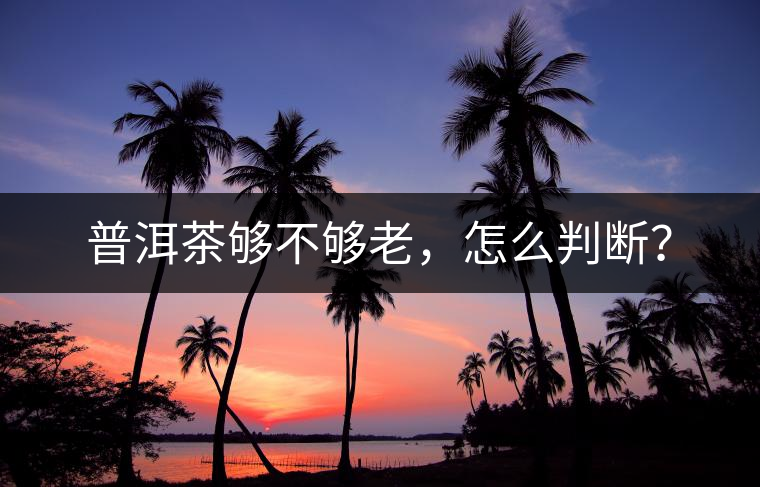 普洱茶夠不夠老，怎么判斷？