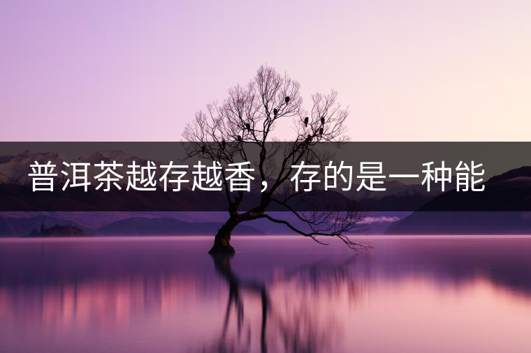 普洱茶越存越香，存的是一種能量