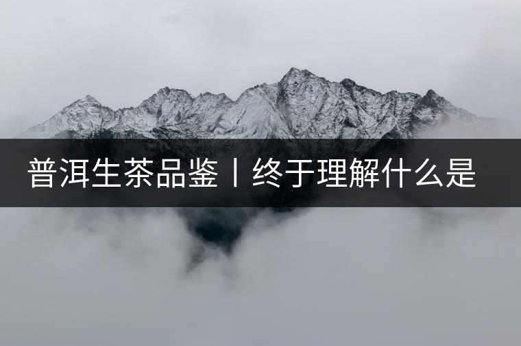 普洱生茶品鑒丨終于理解什么是“醇厚、耐泡，回甘”了