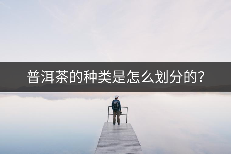 普洱茶的種類是怎么劃分的？