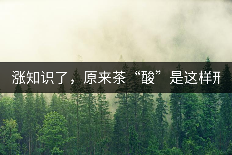 漲知識(shí)了，原來茶“酸”是這樣形成的！