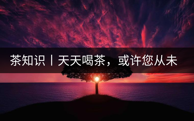 茶知識(shí)丨天天喝茶，或許您從未注意過茶樹花